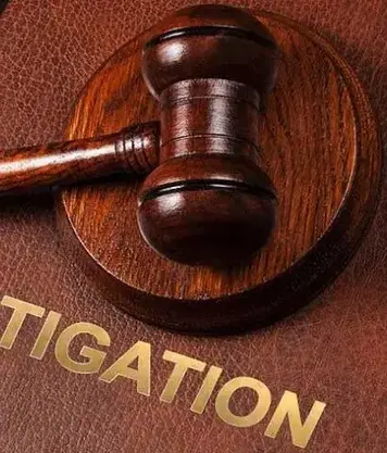 Litigation Support